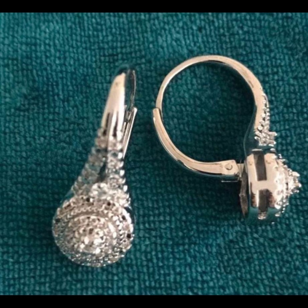 Elegant Silver Drop Earrings